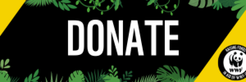 Livestream donate panel , black and yellow with wwf supporter logo