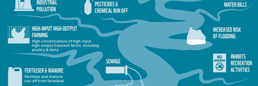 The infographic shows a river catchment and explains the main causes of river pollution and their impacts.