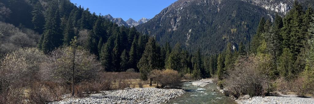 Wanlang NNR landscape, showing river, forest (home to pandas), high mountain peaks (home to snow leopards)