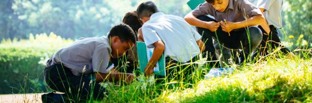 Green Ambassador Schools