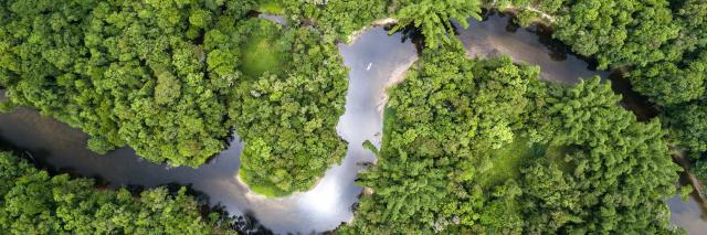 Aerial view of Amazon rainforest, Brazil 