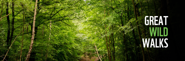 WWF Great Wild Walks
