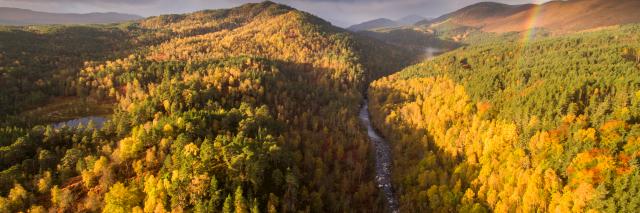 River Affric and autumnal pine and birch woodland, Glen Affric, Highland, Scotland, UK