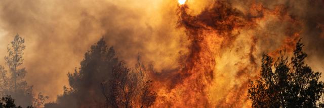 A wildfire burns trees in Agia Sotira, a western suburb of Athens, Greece, on July 20, 2023.