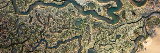Drone shot of Stiffkey Marshes as tide comes in. Stiffkey Marshes, Stiffkey, North Norfolk, UK.
