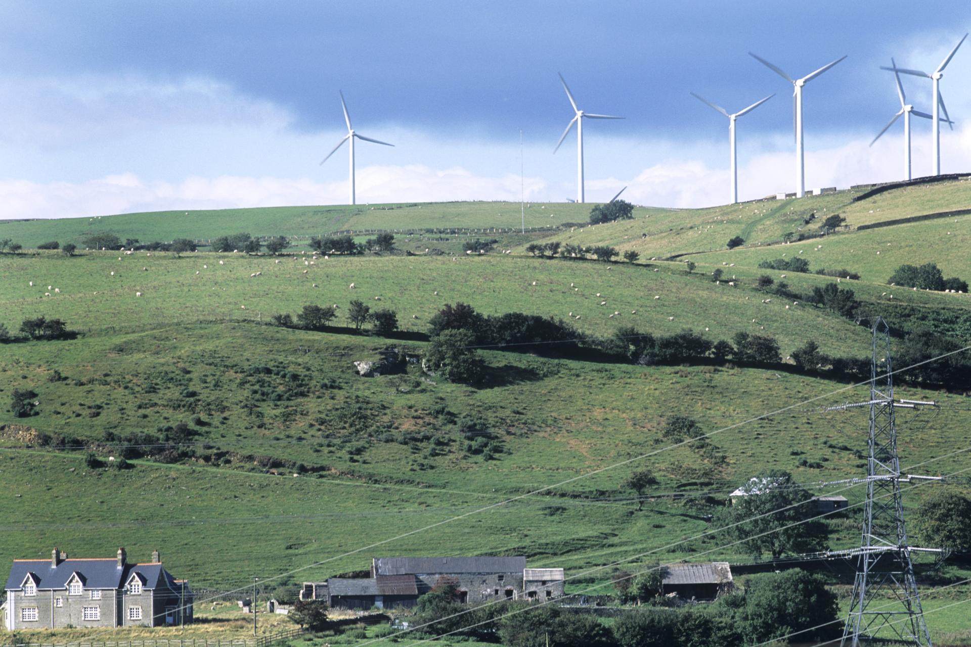 Field system in Bigwood