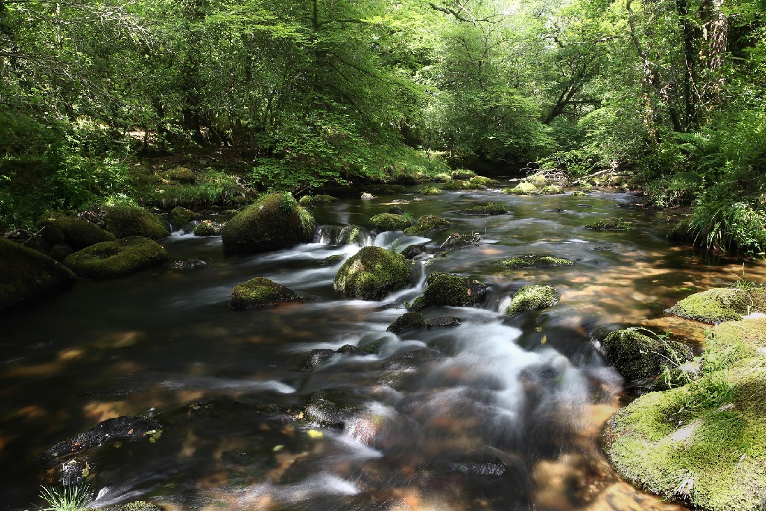 Uk Rivers UK rivers and chalk streams | WWF