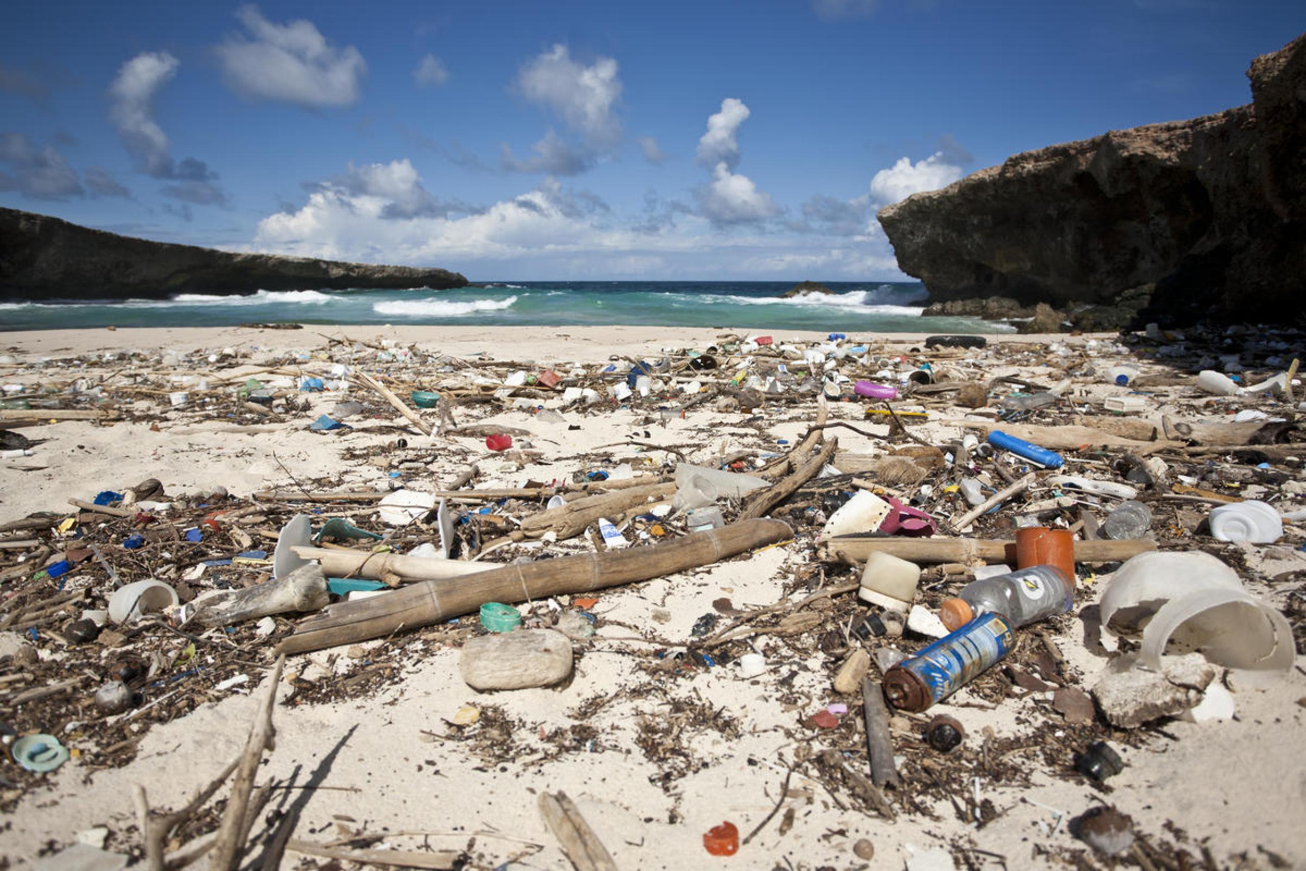 Plastic - the never ending story | WWF