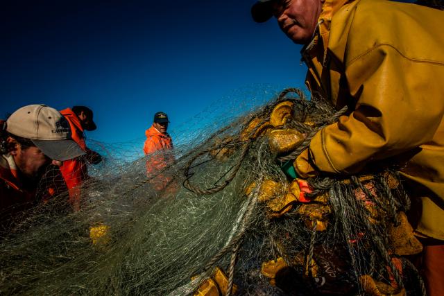 Crew on a fishing boat
