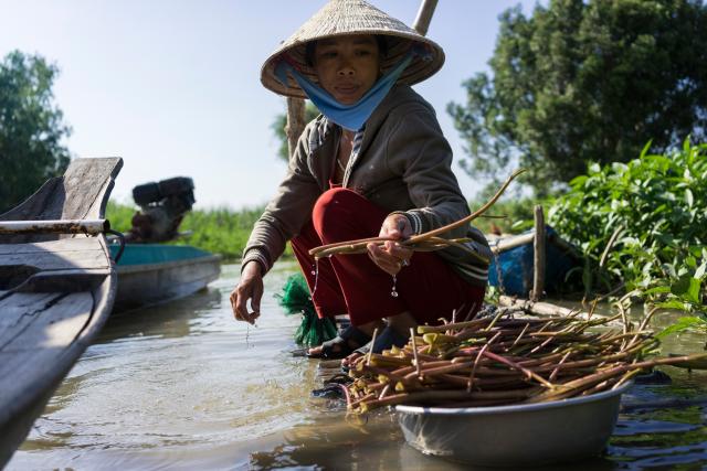Vietnamese woman cleaning vegetables and aquatic plants