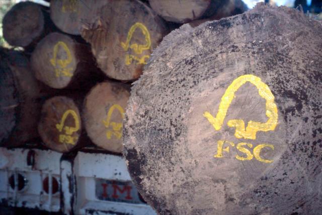 FSC logo painted on sustainable harvested logs