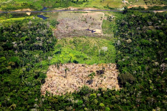 Aerial shot showing deforestation in Amazon rainforest