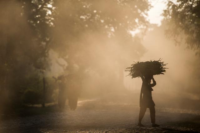 Carrying firewood in Khata corridor, near Bardia National Park, Nepal.