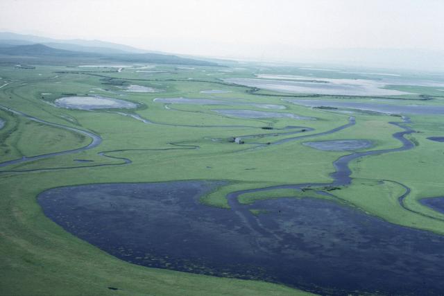 Floodplains of the Amur river. Aerial view. Siberia, Russian Federation.