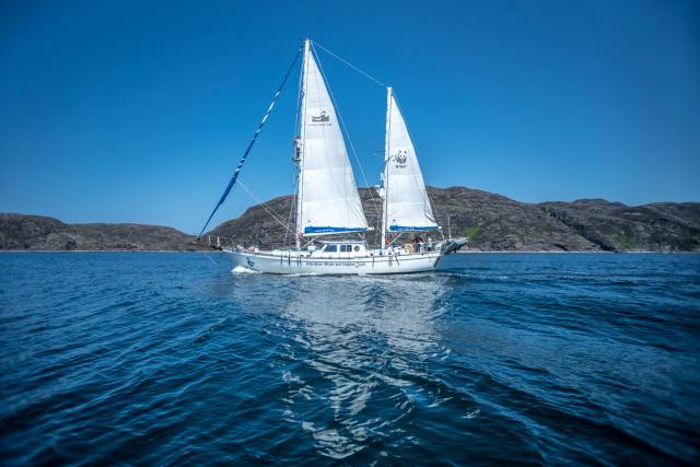 WWF branded boat in Scottish seas