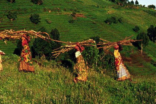 Women gathering wood on the edge of Virunga National Park