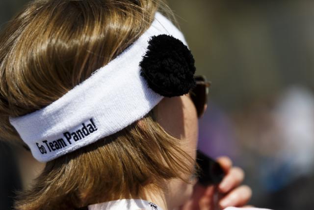 Team Panda volunteer