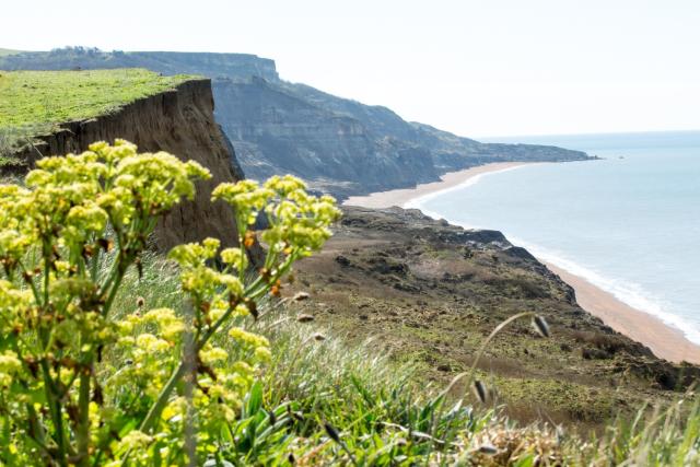 Isle of Wight Challenge