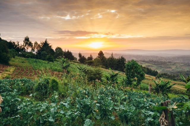 View over farmland, Mara River Upper Catchment, Kenya. Sustainable farming methods supported by supported by the HSBC Water Programme