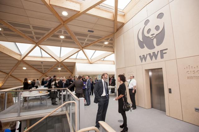 Drinks on the Mezzanine