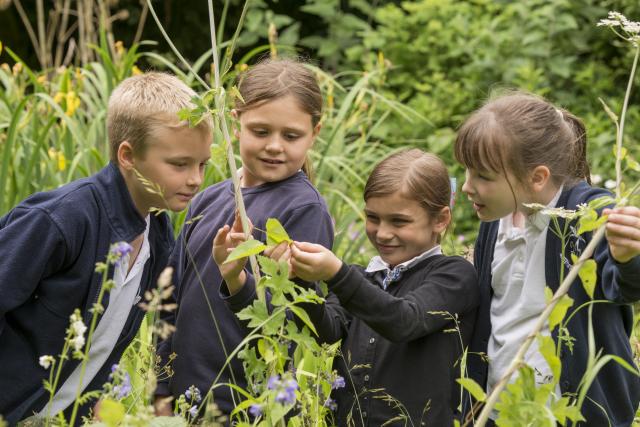 Children outdoors 