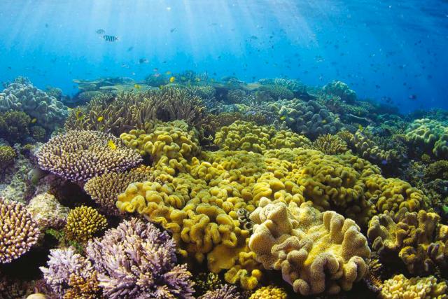 Safeguarding Outstanding Natural Value - Report