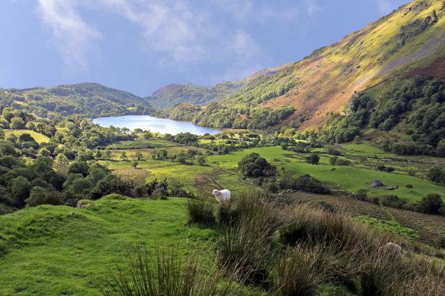 Llyn Gwynant, Snowdonia National Park, Wales