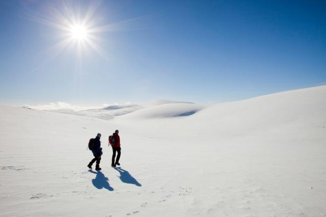Mountaineers in the Cairngorms in winter