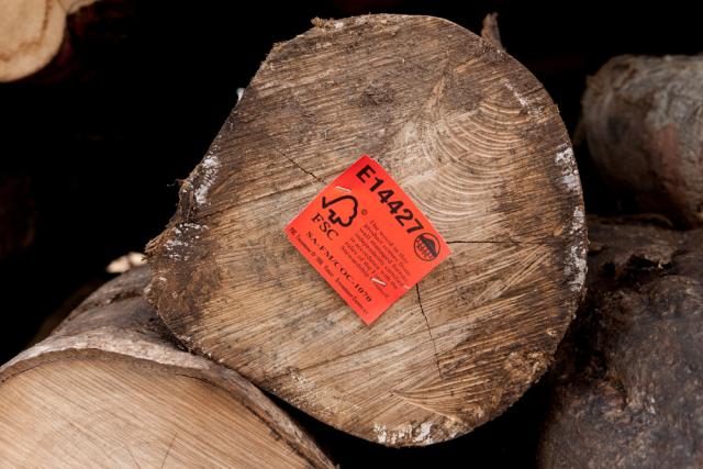 Harvested logs from Kolombangara Forest Products Limited a certified FSC Forest Stewardship Council timber plantation.