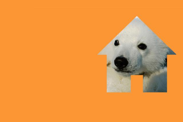 Campaign with WWF urge UK Government act on climate change