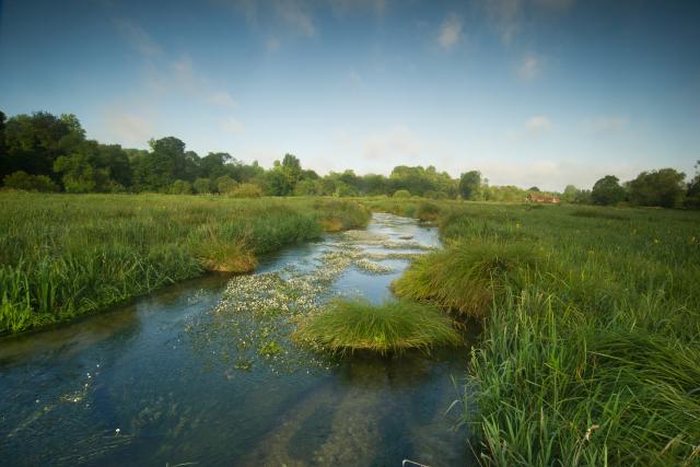 The River Itchen, Hampshire, UK