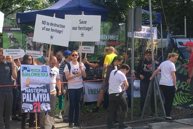 WWF supporters protest about logging in Bialowieza Forest