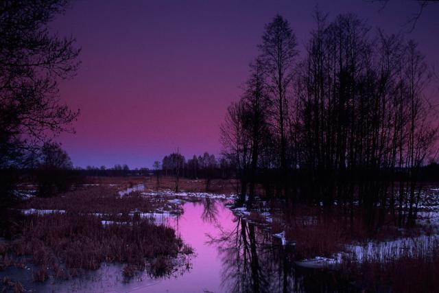 Narewka River in the morning fog, in winter, Bialowieza National Park - © Sanchez & Lope / WWF