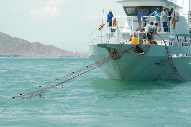 Local fisherman retrieving abandoned or lost “ghost” nets in the Upper Gulf of California - © WWF-US / Gustavo Ybarra