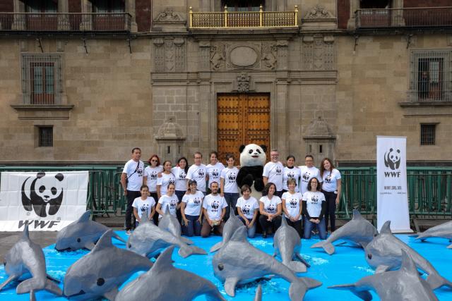 Hand in of petition to save vaquitas