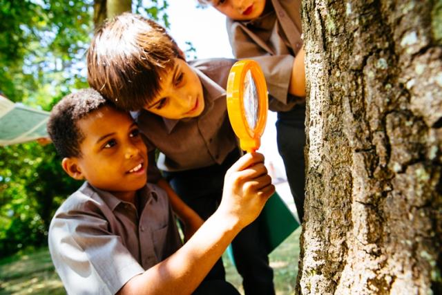 Our Planet citizen science pilot using the iNaturalist platform with students of St Andrews School, Horsell. Surrey, UK.  Students of class 4S watched footage of wildlife, discussed environmental issues, and undertook a bioblitz led by teacher Steve Andrews to explore the biodiversity in their school grounds.