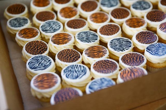 Make some cakes for Wear it Wild