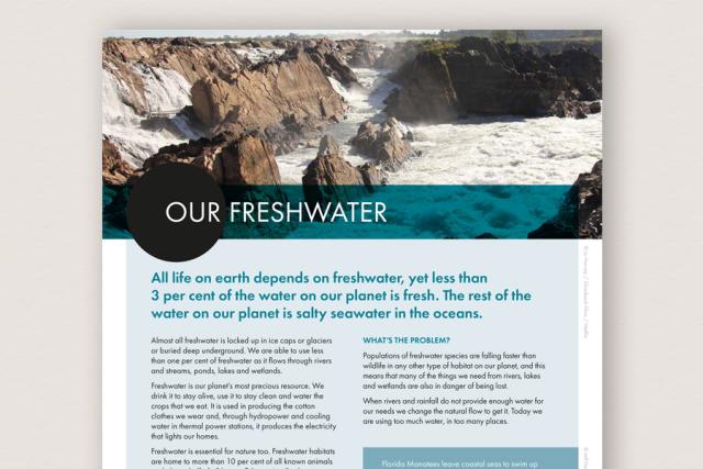 Our Freshwater - Information Sheet