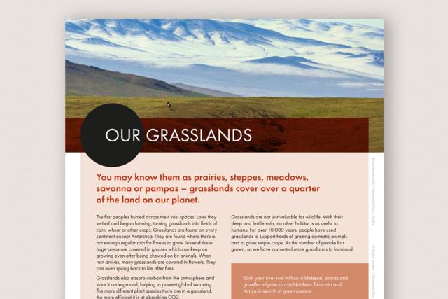 Our Grasslands - Information Sheets
