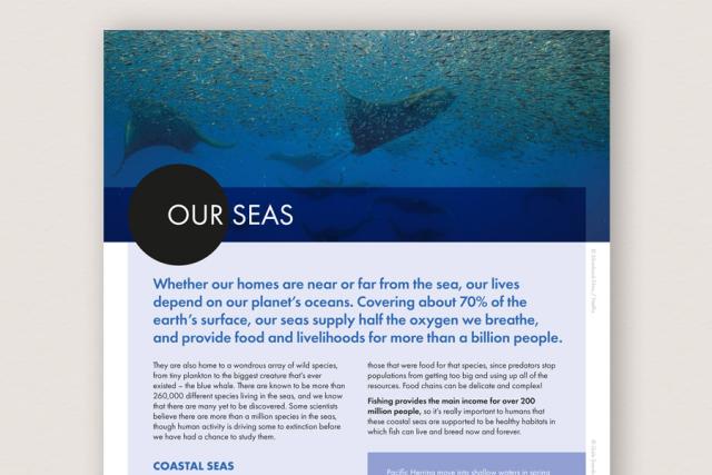 Our Seas - Information Sheet