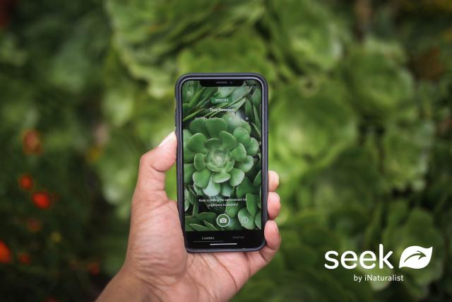 A person using the Seek app