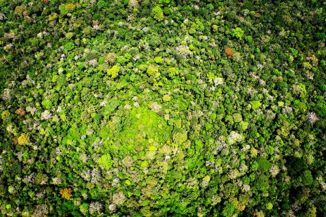 An aerial shot of a vast rainforest canopy in Acre, Brazil
