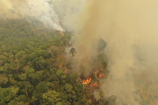 Amazon fires
