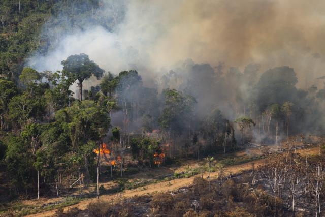 Fires in Brazil - region of Pará and northern Mato Grosso 