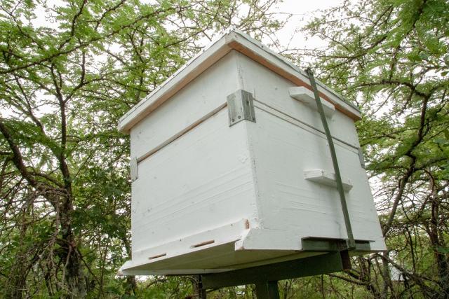 Modern Hive