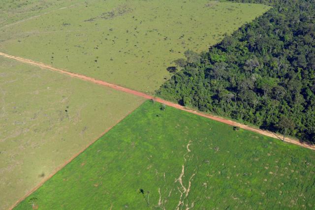 Aerial view of farming in the Alta Floresta municipality, Amazon, Brazil. 