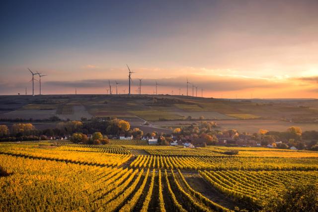 An agricultural landscape with wind turbines on the horizon at Mölsheim, Germany