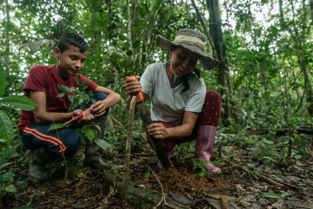 Marisela and her son plant a new tree in a forested area of the family farm (30% of which is retained as forest)