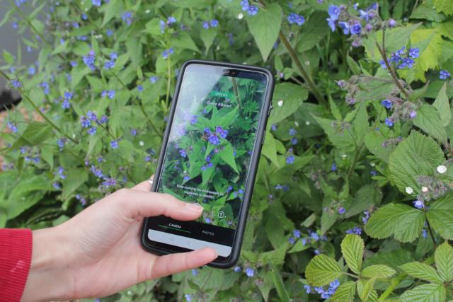 Our Planet SEEK App