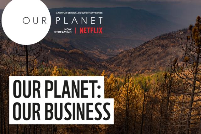 Our Planet Forest